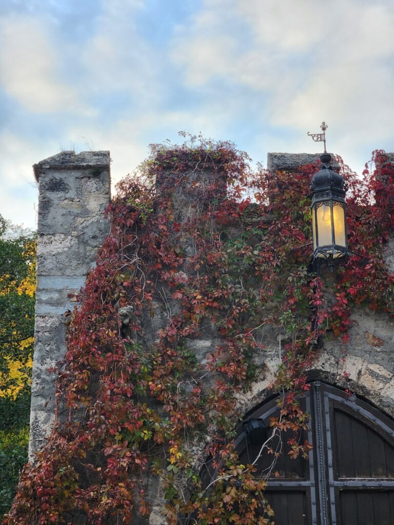 Austria, Waidhofen an der Ybbs_4