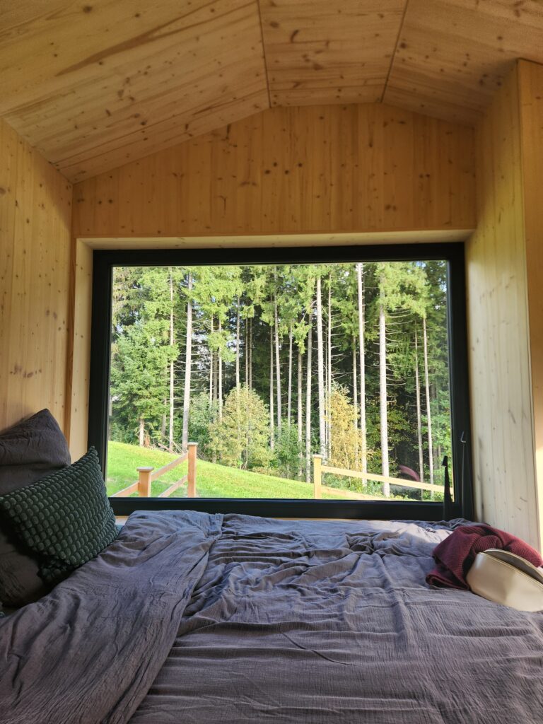 Austria, Waidhofen an der Ybbs_House